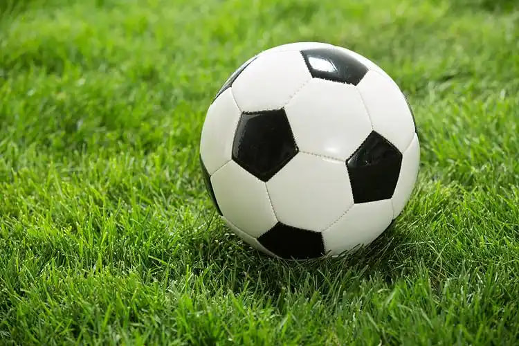 体育媒体使用足球比分英超积分榜获取数据